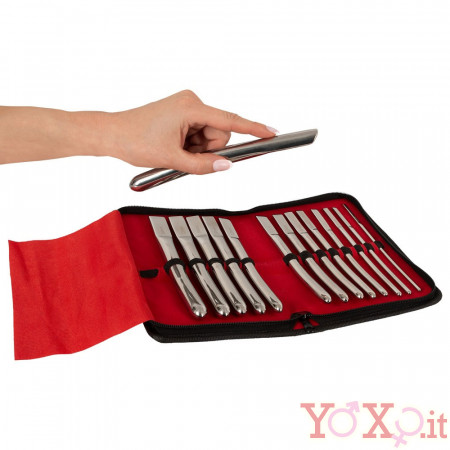 Set di 14 Sonde Dilatatori Uretra in Acciaio Inossidabile da 4 a 17 mm.