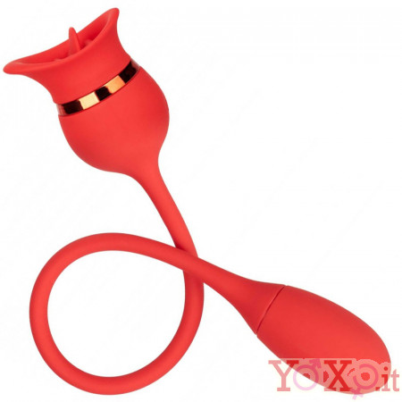 Stimola vagina e clitoride con lingua e bullet vibrante in silicone arancione ricaricabile USB