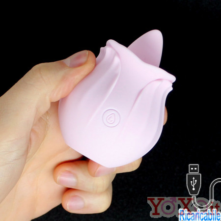 Stimola Vagina e Clitoride con Lingua in Silicone Ricaricabile con USB Rosa