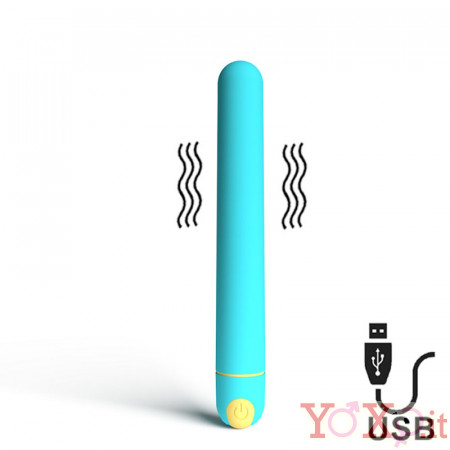 Vibratore Classico Vary 16 x 2 cm Vary Azzurro USB Ricaricabile