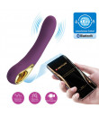 Vibratore Ethan Vibe Viola Ricaricabile USB con APP 20x3,5 cm