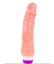Vibratore Realistico 19 x 4 cm.