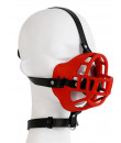 Museruola con GAG BALL e Collare per DOGPLAY