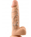 Fallo Ultra Realistico Evolved con Testicoli 20,3 x 4 cm. color Carne