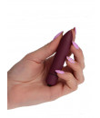 Mini Vibratore Bullet 9 x 2 cm.