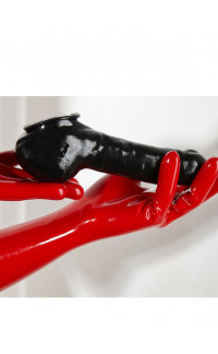 Yoxo Sexy Shop - Guaina Fallica in Lattice nero per Pene e Testicoli