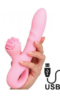 Yoxo Sexy Shop - Pink Taste - Vibratore Rabbit in Silicone con Rotella Lecca Clitoride 20 x 3,5 cm. Rosa Ricaricabile USB
