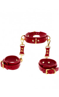 Yoxo Sexy Shop - Collare BDSM in Ecopelle con 3 Anelli a D e Costrittivi per Polsi Rosso e Oro