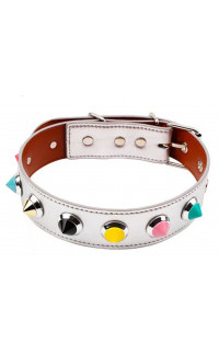 Yoxo Sexy Shop - Collare in Ecopelle Bianco con Borchie in Metallo Colorate