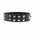 Collare in Ecopelle con Borchie in Metallo - 2
