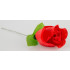 Tanga Rosso Contenuto nel Bocciolo di una Rosa - Taglia Unica Elasticizzata (Tg. 36-46) - 4