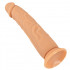 Dildo Realistico in Silicone European Lover 23 x 4,5 cm Carne - 4