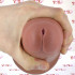 KING COCK Fallo Ultra Realistico Mulatto 26 X 6,1 cm. - Alta Qualita MADE in USA - 3