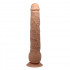 Dildo realistico Baile con Ventosa 27 x 4,2 cm. - 6