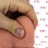 Fallo Ultra Realistico in Silicone Dual Density 25 x 5 cm. - 6