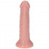 Fallo Made in Italy color carne con ventosa 11,5 x 3 cm. - 3