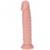 Fallo Made in Italy color carne con ventosa 16,5 x 3,5 cm. - 2