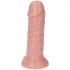 Fallo realistico Made in Italy color carne con ventosa 12,5 x 4 cm. - 2