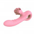 Pink Taste - Vibratore Rabbit in Silicone con Rotella Lecca Clitoride 20 x 3,5 cm. Rosa Ricaricabile USB - 4