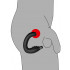 Vibratore Maschile per Prostata P-Spot Anal Massager - 4