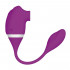 Succhia Clitoride con Ovetto Vibrante Viola Ricaricabile USB - 2