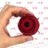 Succhia Clitoride in Silicone con Gambo Vibrante Ricaricabile - 3