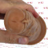 Chet - Fallo Realistico 22 x 4 cm. color Carne - 7