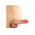 Coulotte per Donna con Pene Realistico 14 x 4 cm. Taglia L/XL - 2