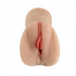 Masturbatore a Forma di Vagina Regina Skin Color Carne  - 1