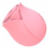 Succhia Clitoride GumRose a Forma di Rosa Ricaricabile USB - 1