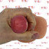 StrapOn per Donna 16 x 3,6 cm. color Carne - 3