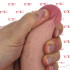 Fashion Dude - Fallo Realistico Dual Density 17,5 x 4 cm. - 3